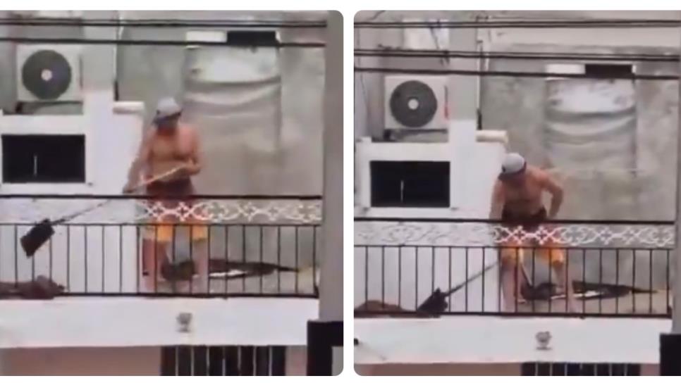 Agreden a palazos a un perro en una casa del sector Misiones, en Mazatlán Agreden a palazos a un perro en una casa del sector Misiones, en Mazatlán