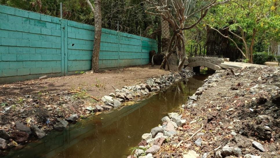 Parque Sinaloa en Los Mochis vuelve a llenarse de agua tras lluvias | VIDEO Parque Sinaloa en Los Mochis vuelve a llenarse de agua tras lluvias | VIDEO