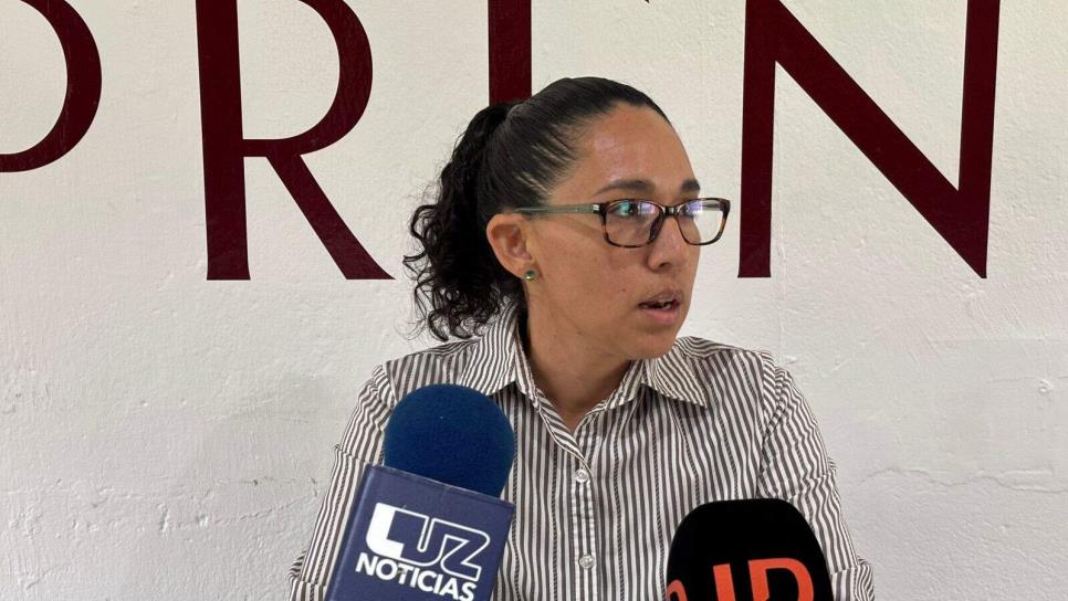 Vicefiscalía determinará la sanción a violentador de mascota que fue arrestado en Mazatlán Vicefiscalía determinará la sanción a violentador de mascota que fue arrestado en Mazatlán