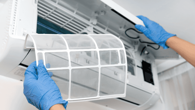 Imagen Placeholder Imagen Placeholder