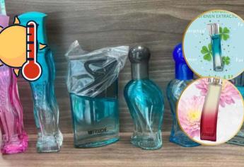 Perfumes de Fraiche 2025: ¿Cuáles son ideales para la temporada de calor?