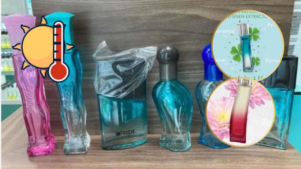 Perfumes de Fraiche 2025: ¿Cuáles son ideales para la temporada de calor? Perfumes de Fraiche 2025: ¿Cuáles son ideales para la temporada de calor?