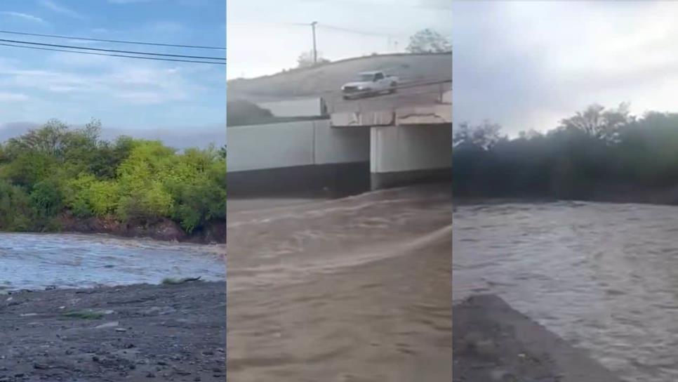 Tras recientes lluvias, luce imponente la derivadora del río Petatlán en Sinaloa de Leyva Tras recientes lluvias, luce imponente la derivadora del río Petatlán en Sinaloa de Leyva