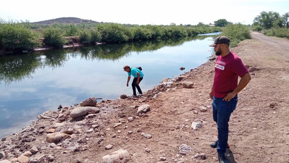 Reportan mortandad de peces en el canal Cahuinahua en El Fuerte por presunta contaminación Reportan mortandad de peces en el canal Cahuinahua en El Fuerte por presunta contaminación