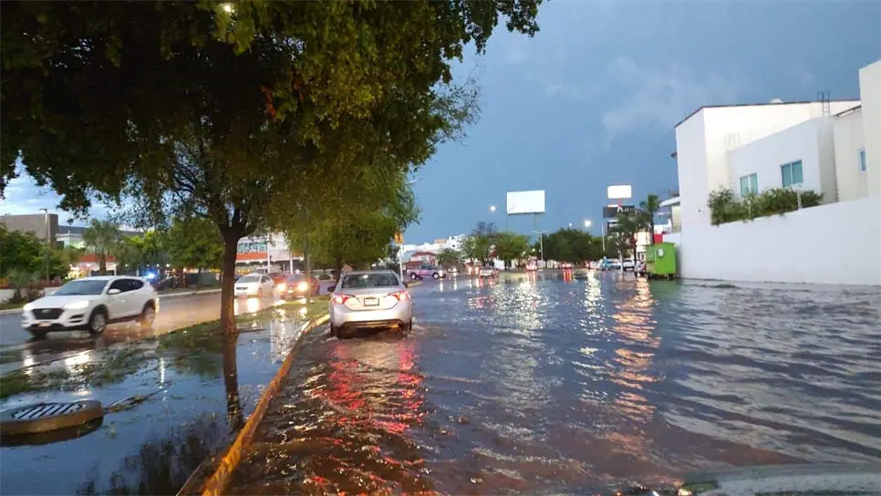 Bill Mendoza informó también la caída de alrededor de tres árboles y un poste, aunque afortunadamente no hay reporte de personas lesionadas