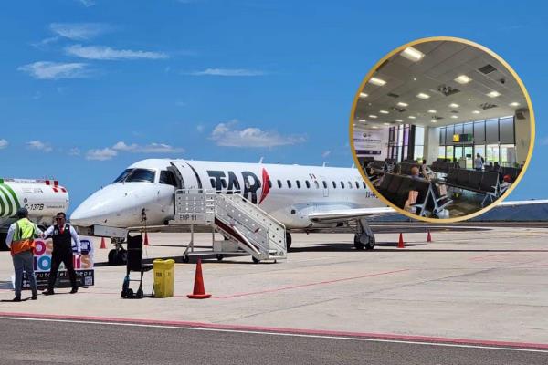 Vuelos desde Los Mochis: ¿Qué rutas son, que aerolíneas y con que frecuencia vuelas?