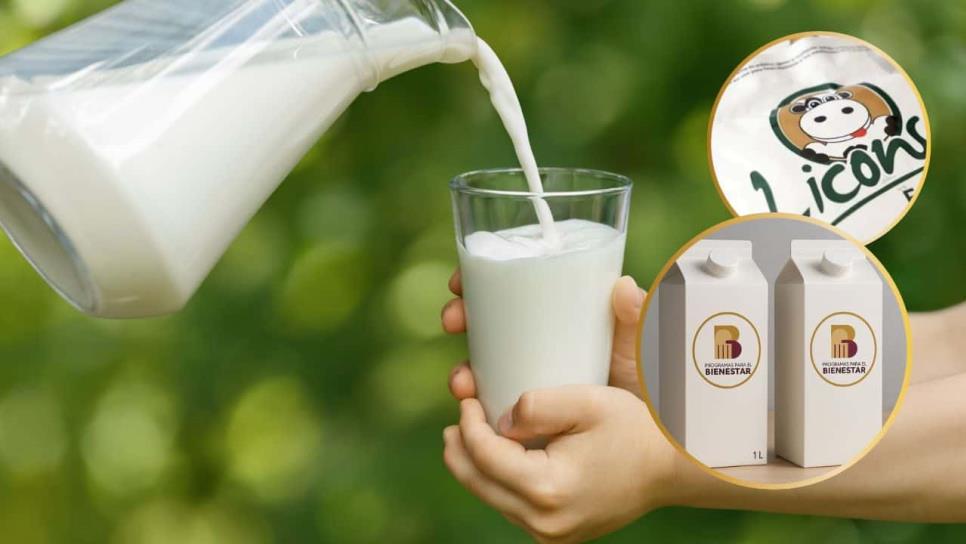 Leche para el Bienestar 2025: ¿Dónde la venden y cuánto cuesta? Leche para el Bienestar 2025: ¿Dónde la venden y cuánto cuesta?