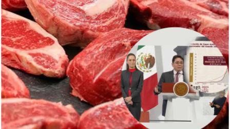 Carne mexicana vetada en USA por gusano barrenador detectado en Veracruz Carne mexicana vetada en USA por gusano barrenador detectado en Veracruz