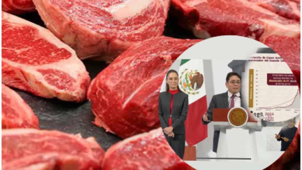 Carne mexicana vetada en USA por gusano barrenador detectado en Veracruz Carne mexicana vetada en USA por gusano barrenador detectado en Veracruz