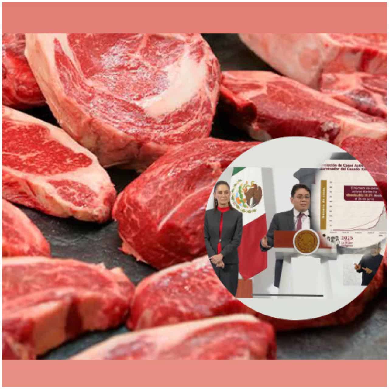 Carne mexicana vetada en USA por gusano barrenador detectado en Veracruz