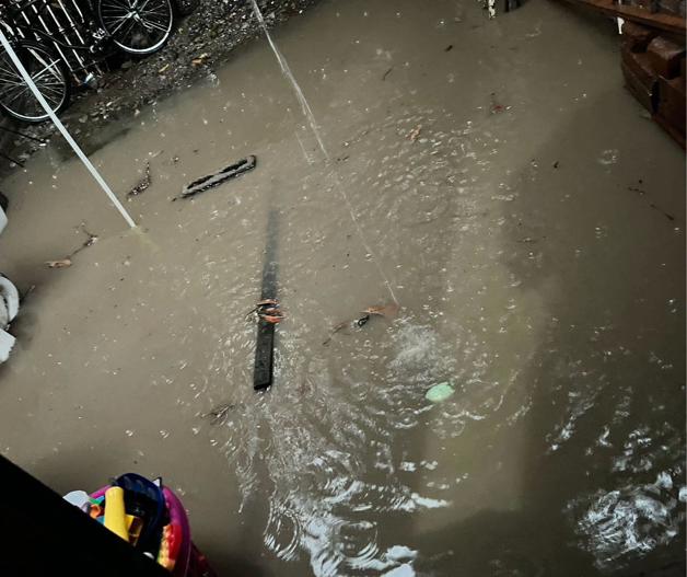 Imagen Placeholder Imagen Placeholder