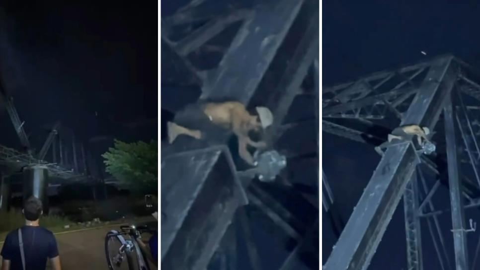 Captan a joven robando lámparas y cableado del Puente Negro en Culiacán Captan a joven robando lámparas y cableado del Puente Negro en Culiacán