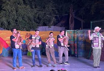 Zoológico de Culiacán presenta cuatro cachorros Tigres de Bengala