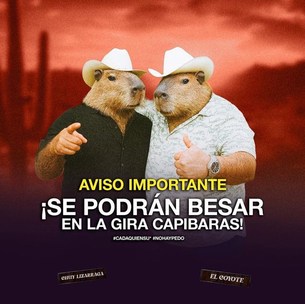 Imagen Placeholder Imagen Placeholder