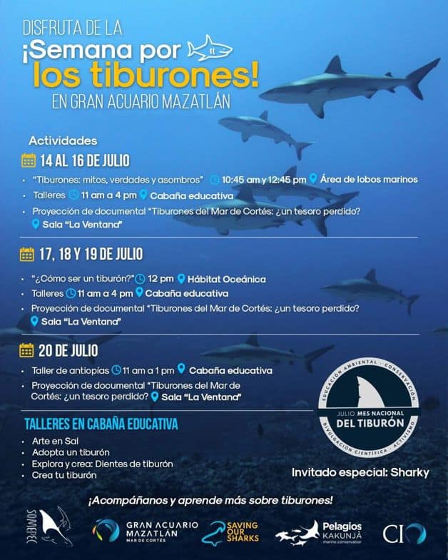 Imagen Placeholder Imagen Placeholder