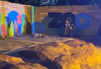 Estos son los próximos proyectos para el Zoológico de Culiacán