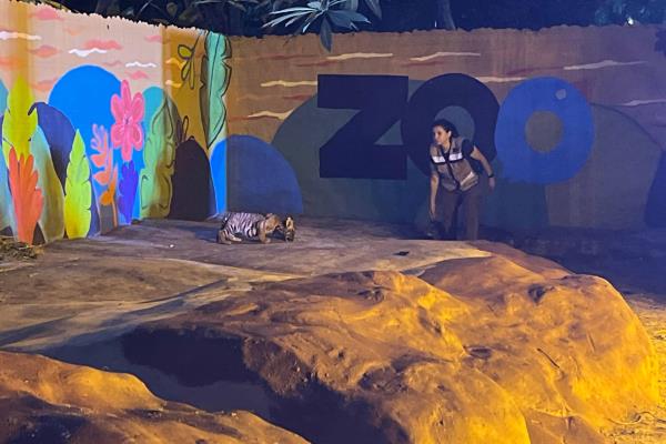 Estos son los próximos proyectos para el Zoológico de Culiacán