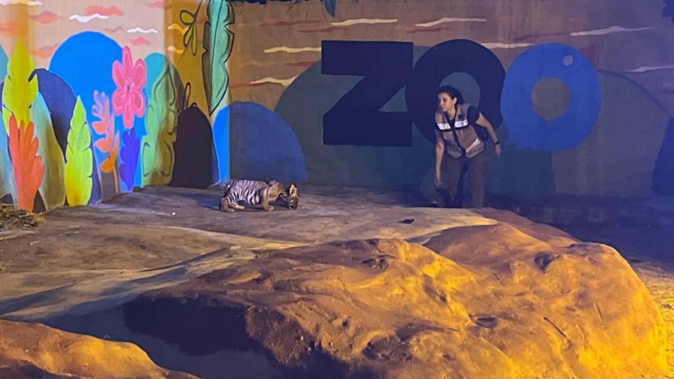 Estos son los próximos proyectos para el Zoológico de Culiacán Estos son los próximos proyectos para el Zoológico de Culiacán