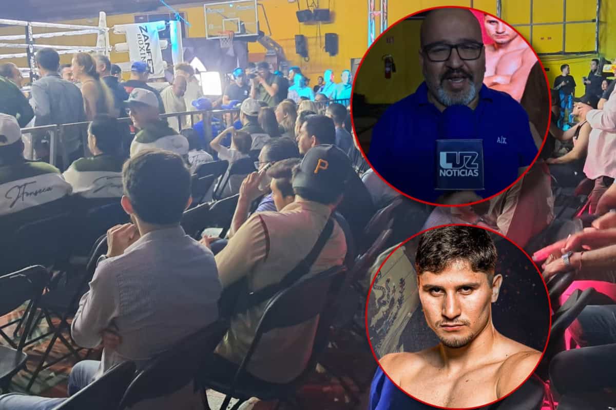 Marco Verde será el nuevo Julio César Chávez del boxeo: Afición de Sinaloa