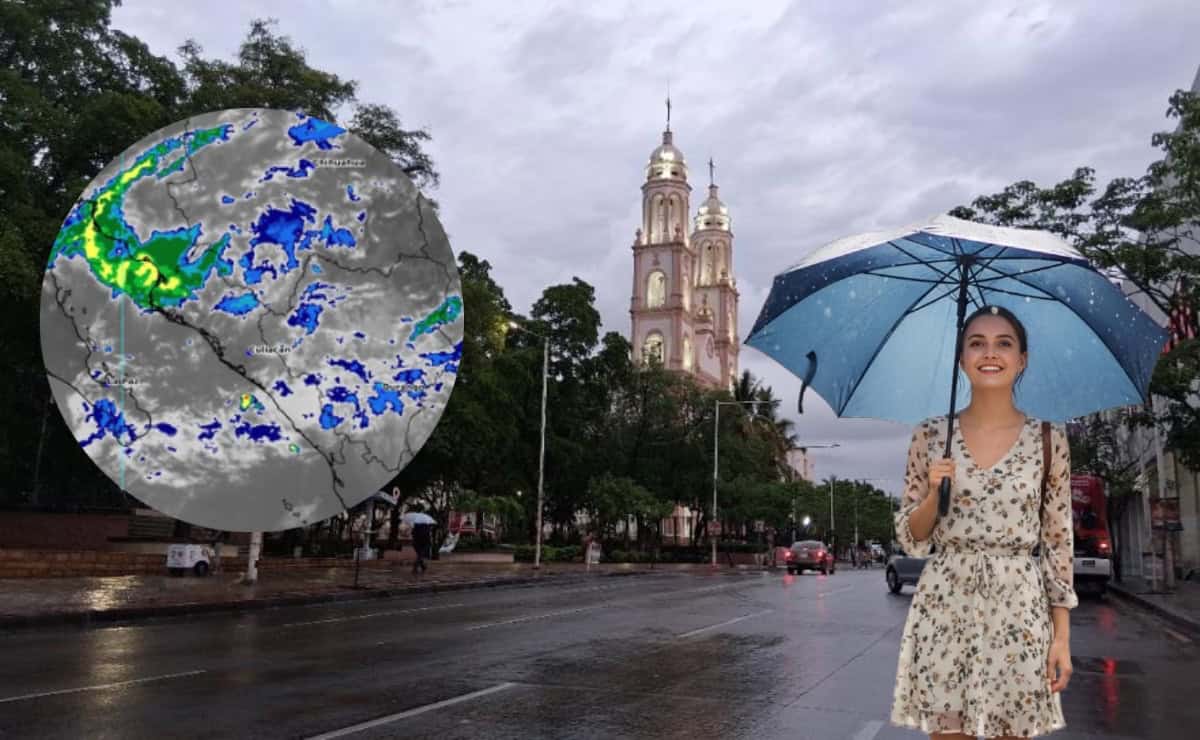 Imagen Placeholder Imagen Placeholder