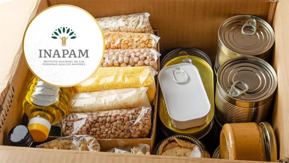 La alcaldía Gustavo A. Madero lanzó el programa “Nutriendo Hogares GAM” enfocado en entregar despensas gratuitas a personas adultas mayores con credencial INAPAM. FOTO: Luz Noticias.