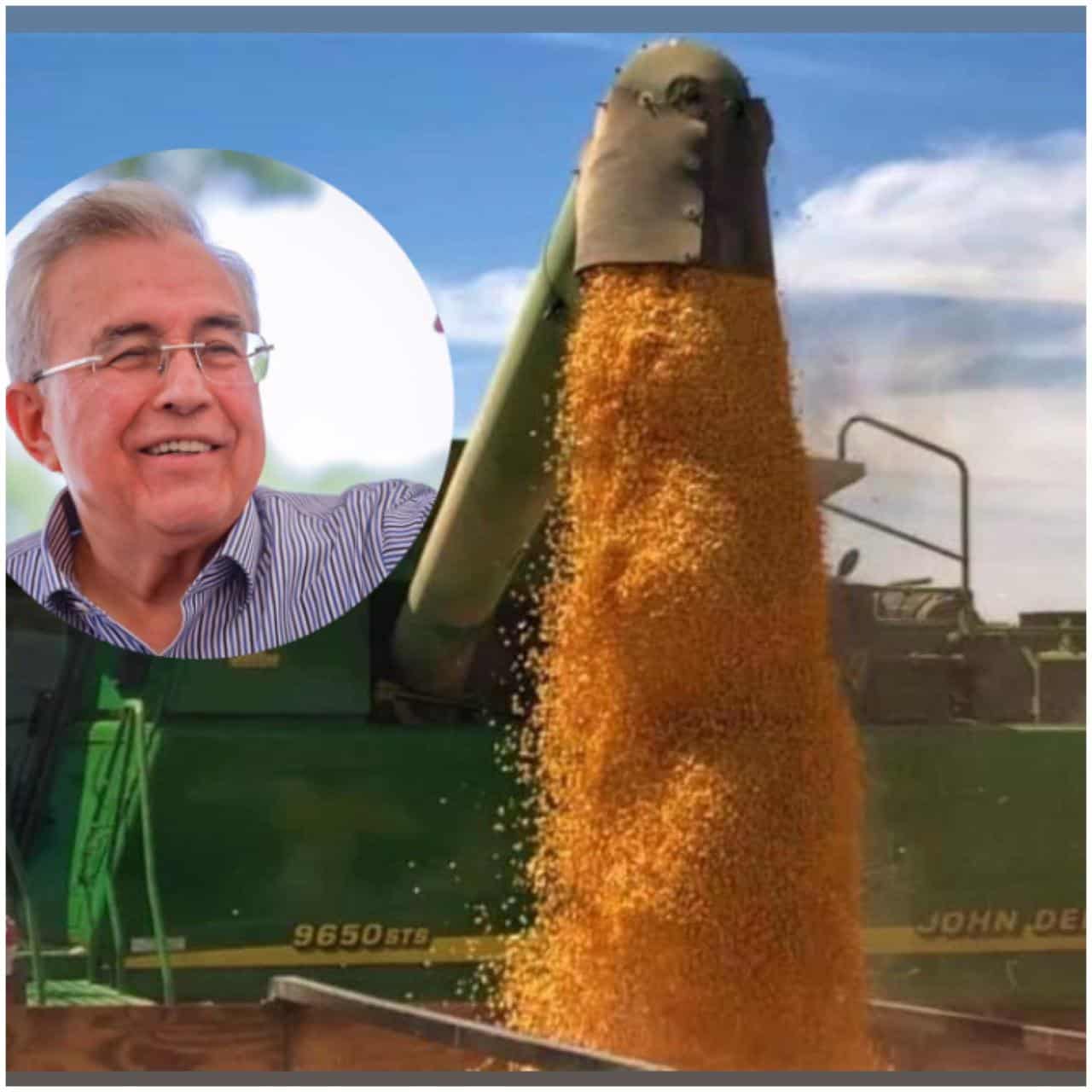 Con gestión de Rocha Moya, Sinaloa acelera venta de 400 mil toneladas de maíz
