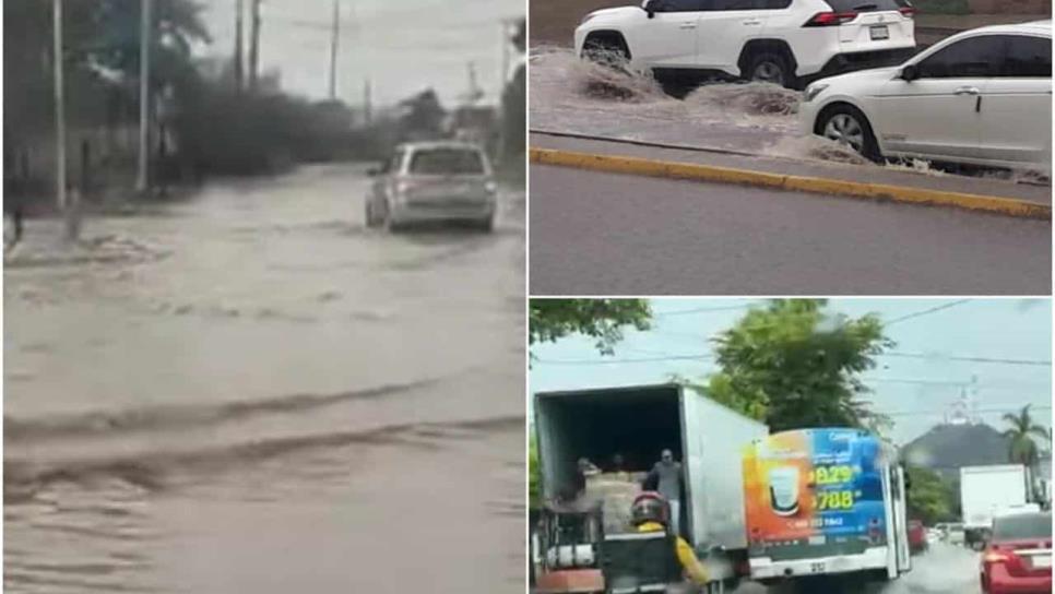 Lluvia en Los Mochis deja como saldo calles encharcadas y un árbol caído Lluvia en Los Mochis deja como saldo calles encharcadas y un árbol caído