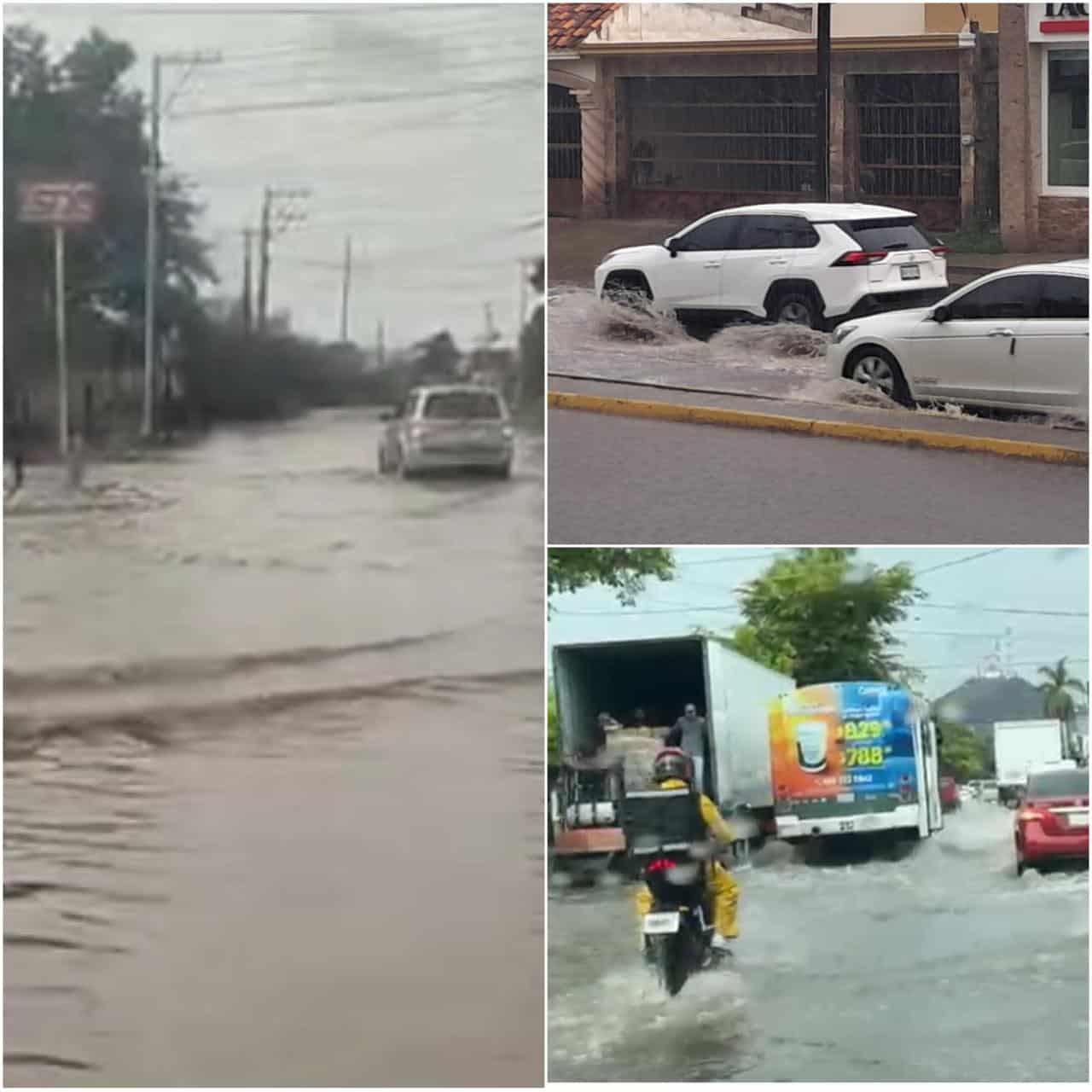 El problema sigue siendo la acumulación de basura