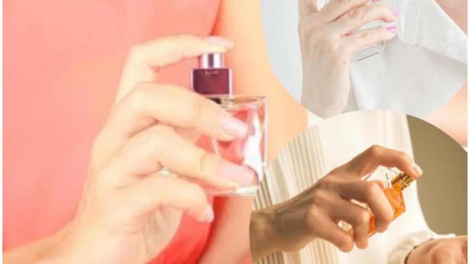 ¿En dónde debe ponerse el perfume? Trucos para oler delicioso todo el día ¿En dónde debe ponerse el perfume? Trucos para oler delicioso todo el día