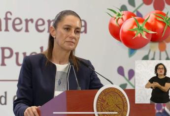 Claudia Sheinbaum: “Estados Unidos no tiene cómo cubrir su demanda sin el tomate de Sinaloa”