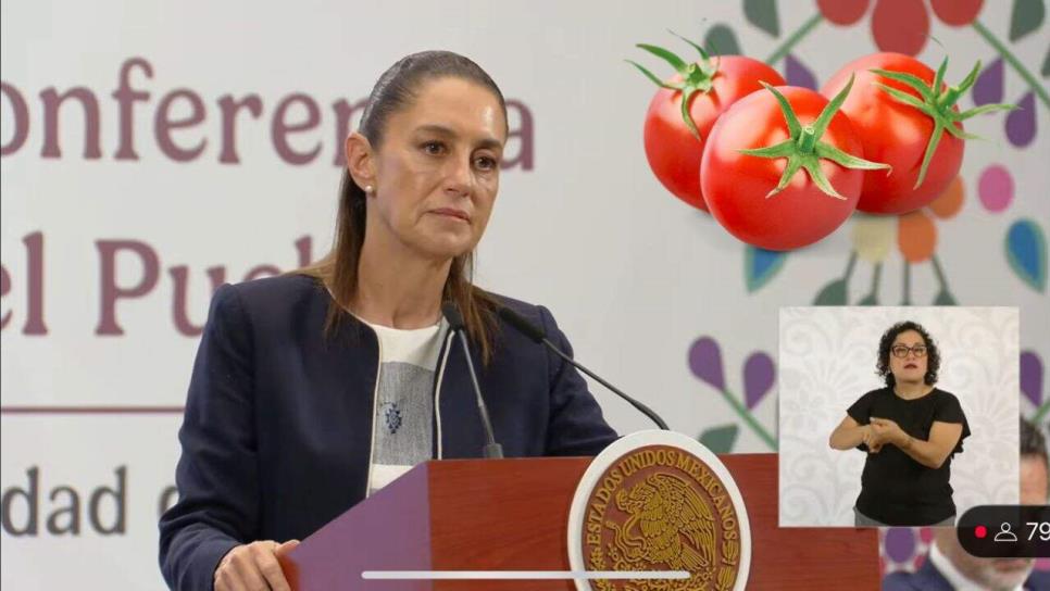 Claudia Sheinbaum: "Estados Unidos no tiene cómo cubrir su demanda sin el tomate de Sinaloa" Claudia Sheinbaum: "Estados Unidos no tiene cómo cubrir su demanda sin el tomate de Sinaloa"