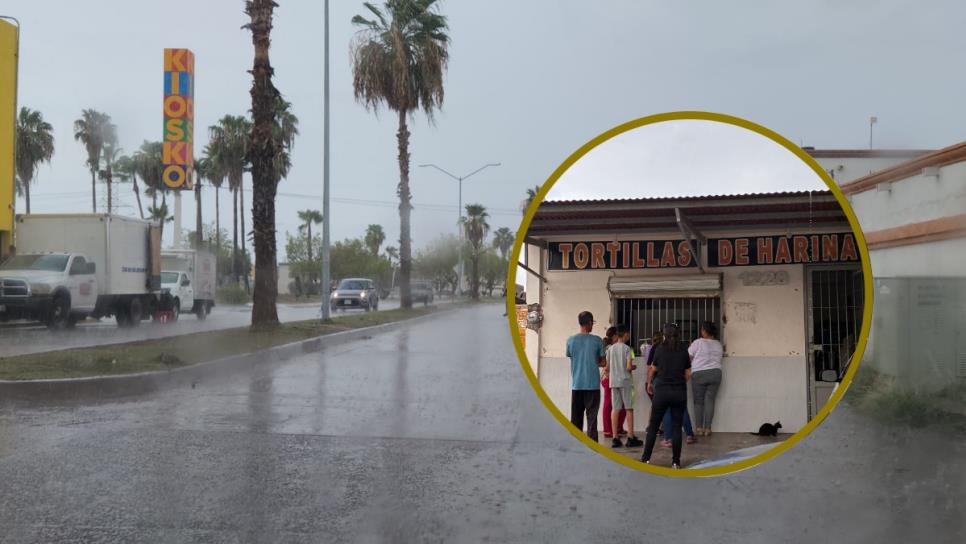 Llueve en Los Mochis y las tradicionales tortillas de harina vuelan de las tiendas Llueve en Los Mochis y las tradicionales tortillas de harina vuelan de las tiendas