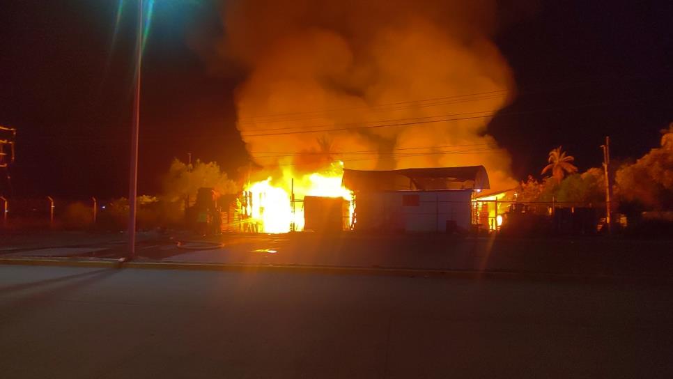 Se incendia fábrica de tarimas en Los Mochis; se quemaron más de 30 mil piezas Se incendia fábrica de tarimas en Los Mochis; se quemaron más de 30 mil piezas