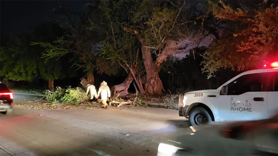 Al sitio acudieron también elementos del departamento de Bomberos de Los Mochis, así como de Protección Civil de Ahome y de la Secretaría de Seguridad y Protección Ciudadana