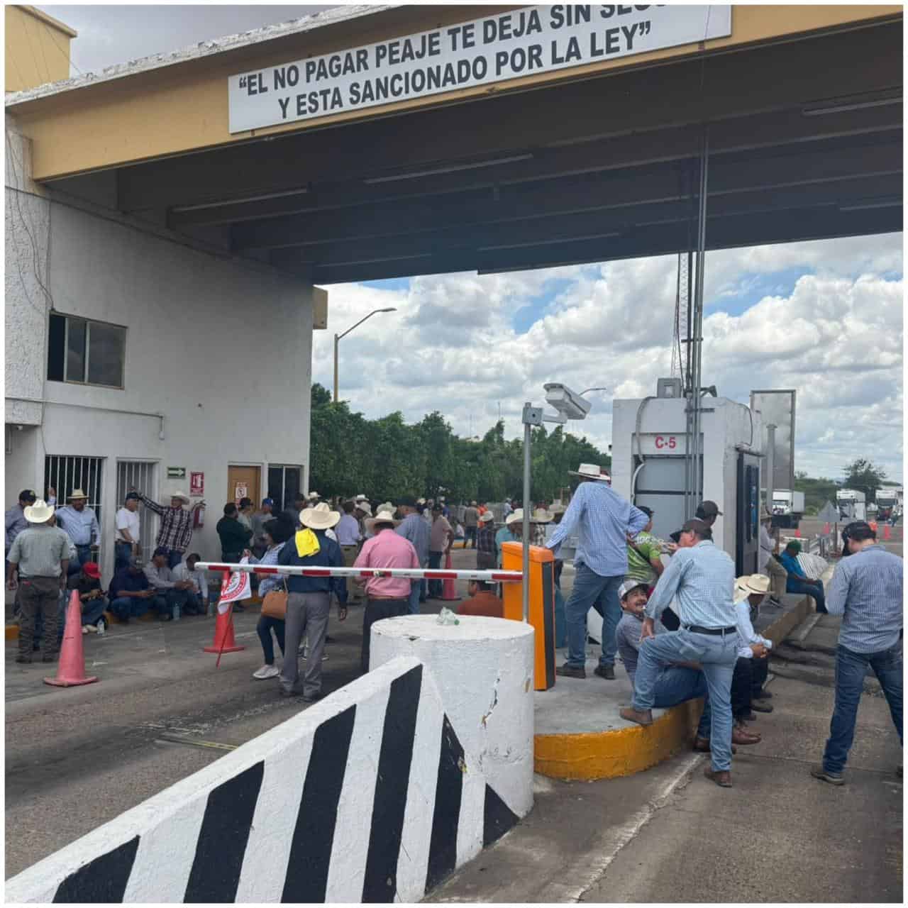 Campesinos alzan la voz en Sinaloa: este jueves habrá manifestación y posibles bloqueos