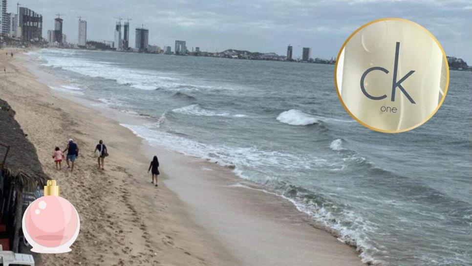 Este perfume de Fraiche te encantará huele a limpio y es perfecto para la playa Este perfume de Fraiche te encantará huele a limpio y es perfecto para la playa