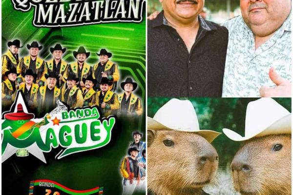 Estos son los conciertos imperdibles que llegarán a Mazatlán en septiembre