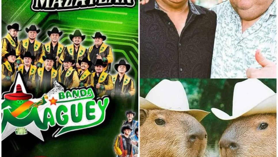 Estos son los conciertos imperdibles que llegarán a Mazatlán en septiembre