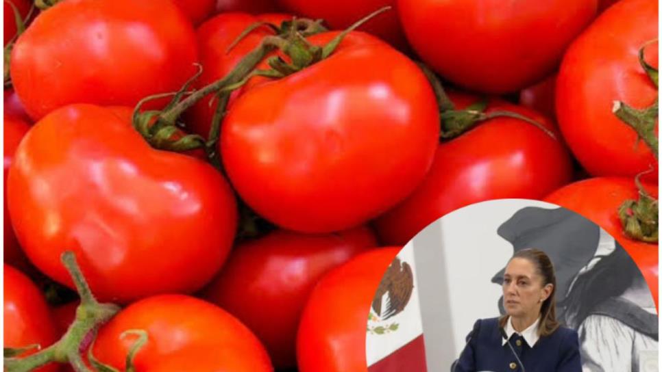 A partir de hoy México tendrá que pagar un arancel del 17.09 % por exportar tomate a EE.UU. A partir de hoy México tendrá que pagar un arancel del 17.09 % por exportar tomate a EE.UU.