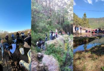 Estudiante de Biología de la UAS descubre una nueva especie en Sinaloa del género Allacrotelsa