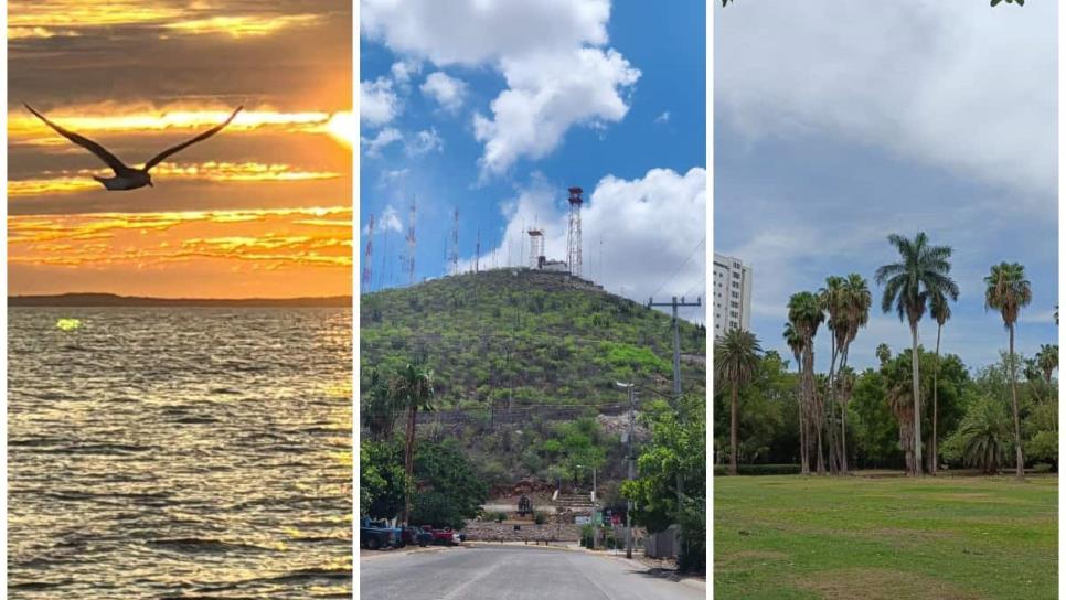 ¿Qué hacer en Los Mochis con poco presupuesto? 3 actividades turísticas por menos de $300