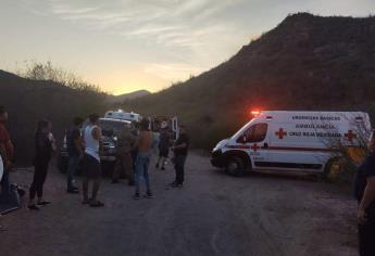 Enjambre de abejas ataca a un grupo de jóvenes en un cerro en Ahome