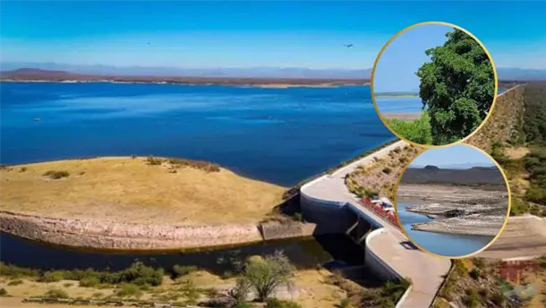 Nota Relacionada de Agro