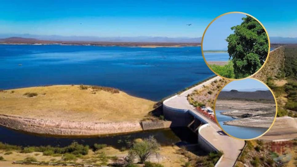 Presa Josefa Ortiz de Domínguez en El Fuerte: ¿Cuál es su función en la agricultura de Sinaloa? Presa Josefa Ortiz de Domínguez en El Fuerte: ¿Cuál es su función en la agricultura de Sinaloa?