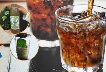 ¿Refresco de cilantro? Este es el nuevo invento de dos jóvenes mexicanos