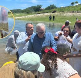 Inicia repoblamiento de presas en Sinaloa: Más de 24 millones de alevines para impulsar la pesca Inicia repoblamiento de presas en Sinaloa: Más de 24 millones de alevines para impulsar la pesca