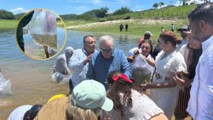 Inicia repoblamiento de presas en Sinaloa: Más de 24 millones de alevines para impulsar la pesca