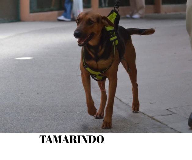 Imagen Placeholder Imagen Placeholder