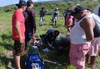Rapiñan pollos tras volcarse un tráiler en el Trébol de Costa Rica en Culiacán