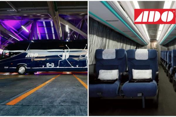 Así lucen los nuevos autobuses de ADO Platino i8 Efficient, ¿qué beneficios ofrecen?